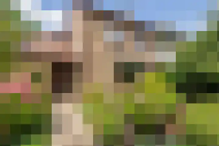Vincent van Goghsingel 10 Hillegom