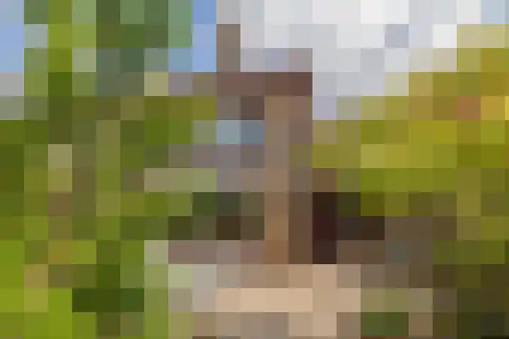Vincent van Goghsingel 10 Hillegom thumbnail 13