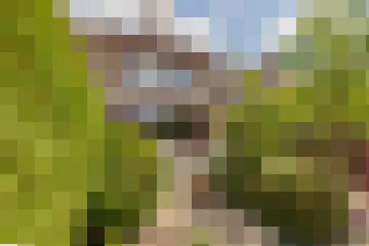 Vincent van Goghsingel 10 Hillegom thumbnail 14