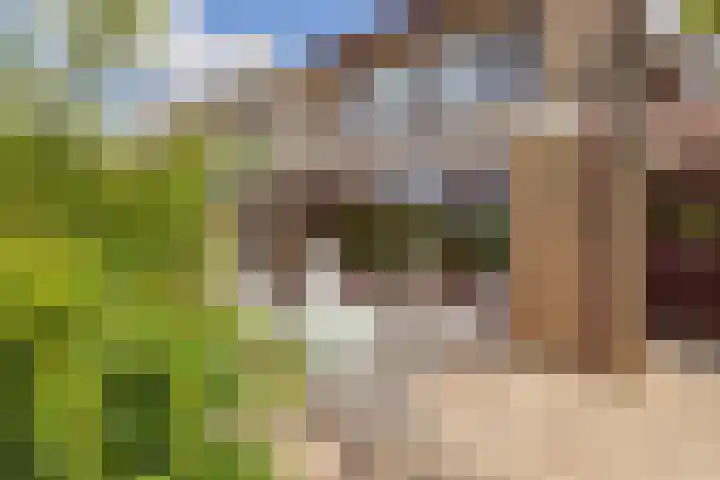 Vincent van Goghsingel 10 Hillegom thumbnail 15