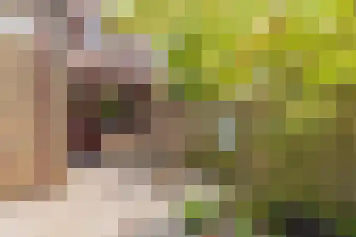 Vincent van Goghsingel 10 Hillegom thumbnail 16