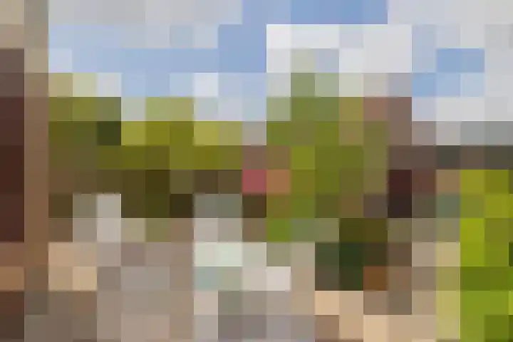 Vincent van Goghsingel 10 Hillegom thumbnail 17
