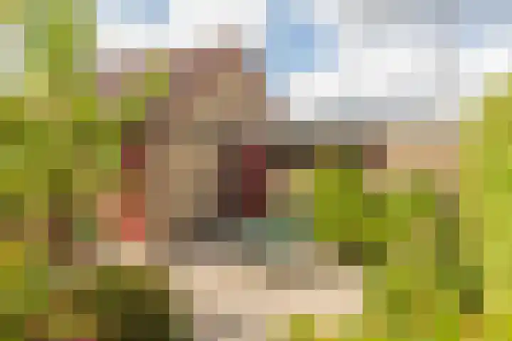Vincent van Goghsingel 10 Hillegom thumbnail 18