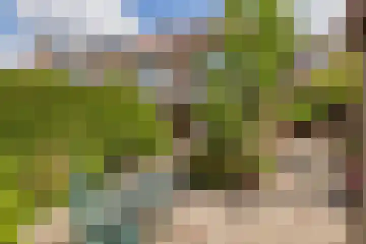 Vincent van Goghsingel 10 Hillegom thumbnail 19