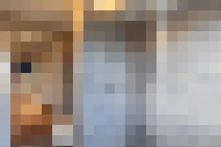 Vincent van Goghsingel 10 Hillegom thumbnail 31