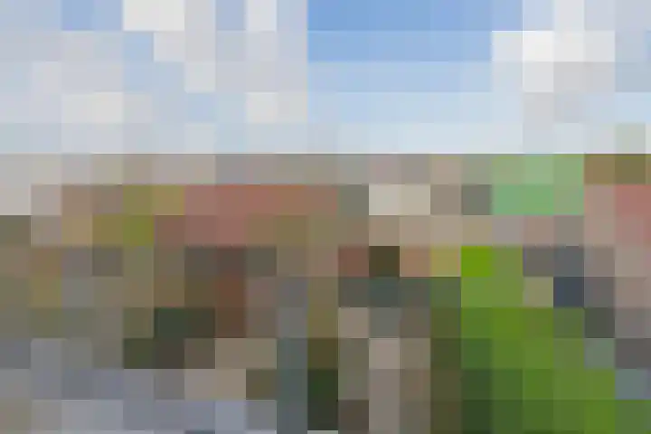 Vincent van Goghsingel 10 Hillegom thumbnail 32