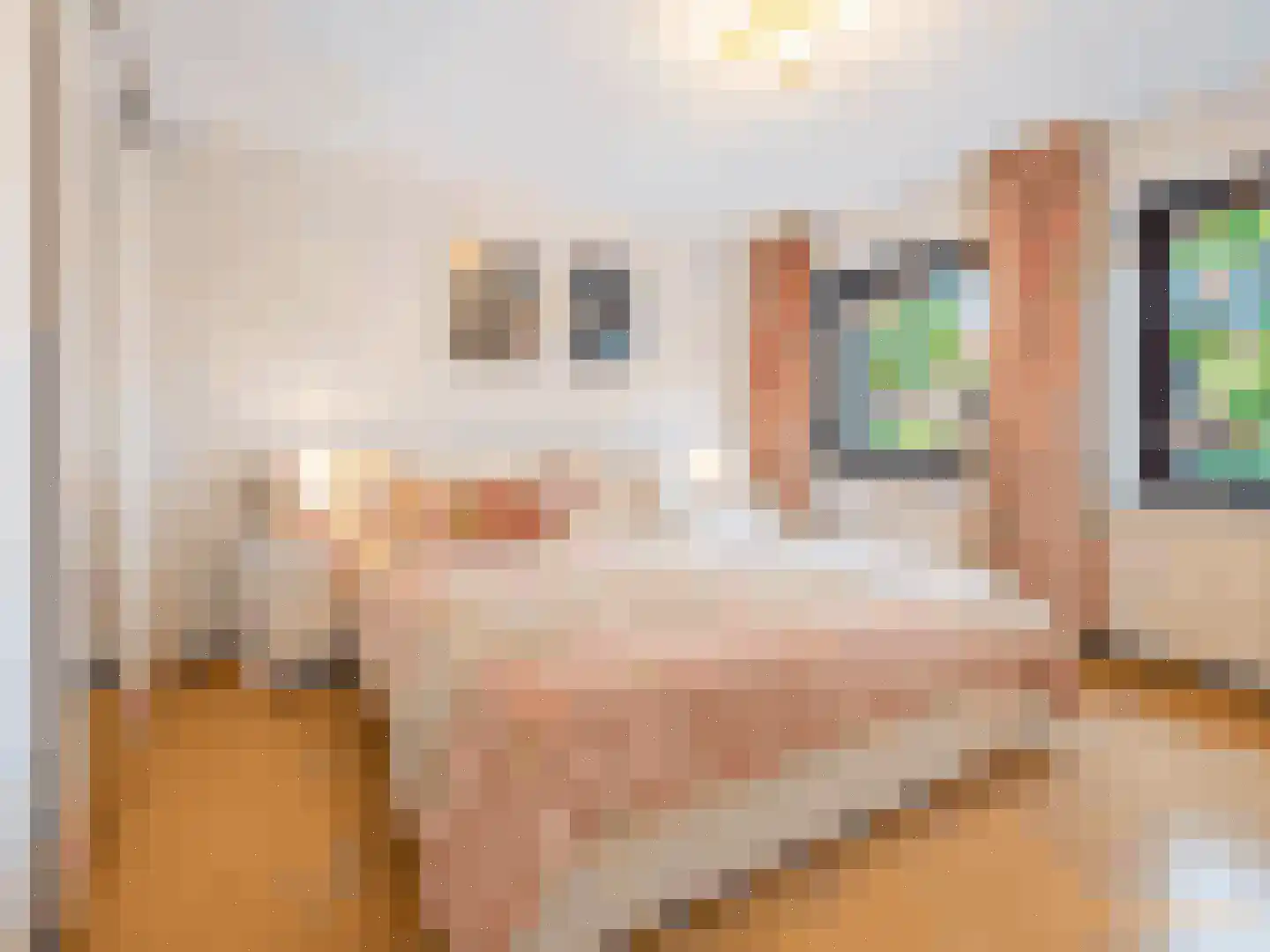 Vincent van Goghsingel 40 Hillegom thumbnail 25