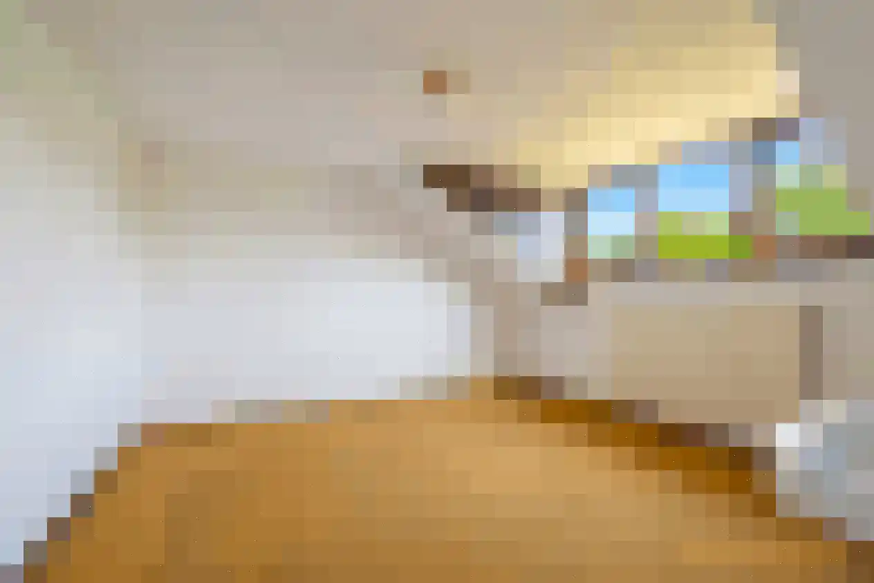 Vincent van Goghsingel 40 Hillegom thumbnail 30