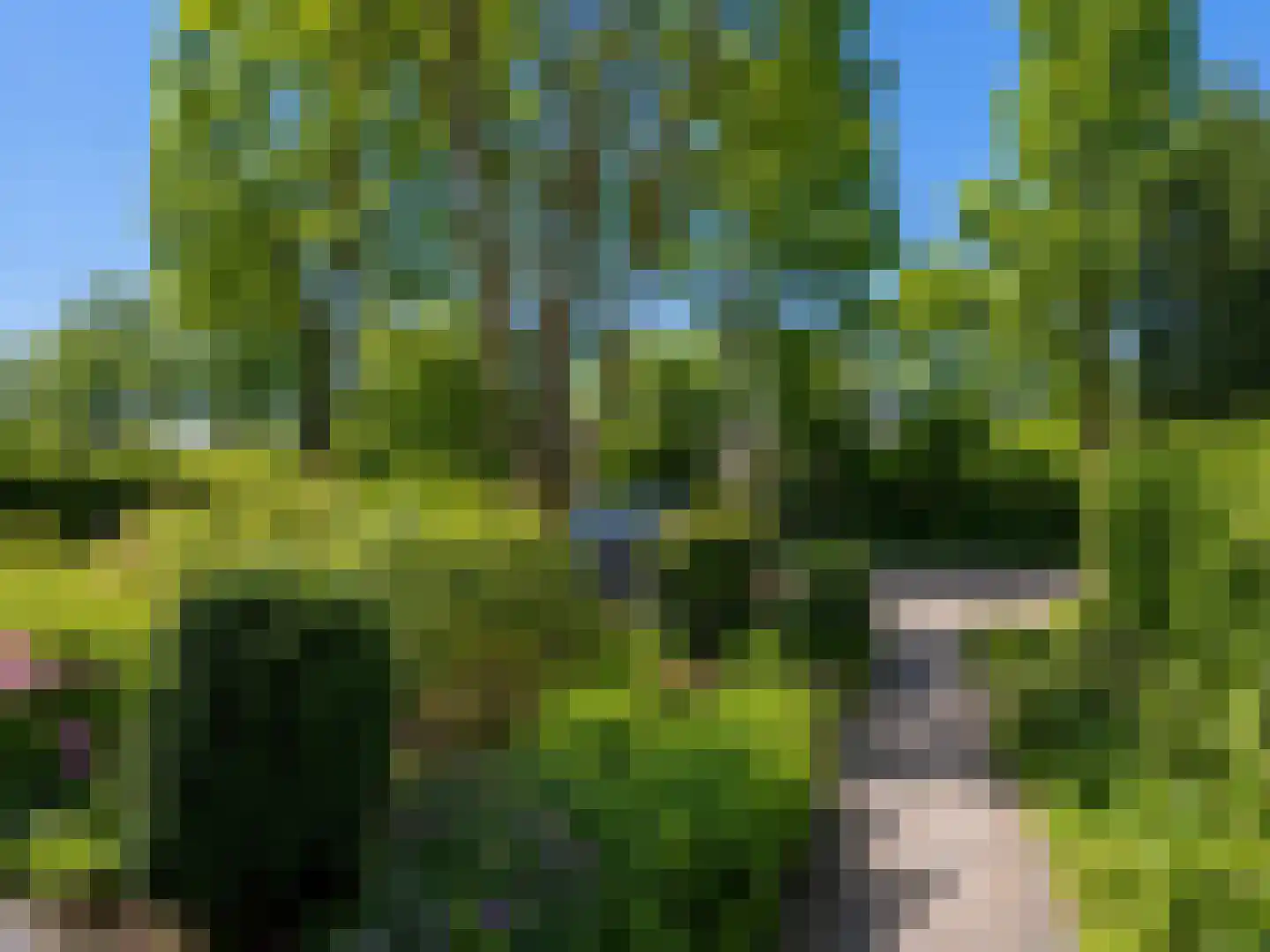 Vincent van Goghsingel 40 Hillegom thumbnail 34