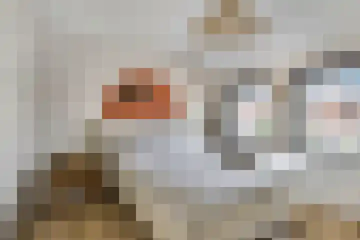 Vincent van Goghstraat 1 Ede thumbnail 22