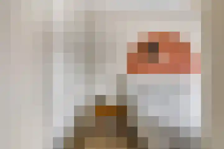 Vincent van Goghstraat 1 Ede thumbnail 23
