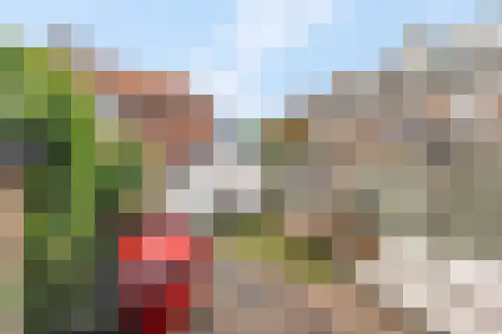 Vincent van Goghstraat 1 Ede thumbnail 38