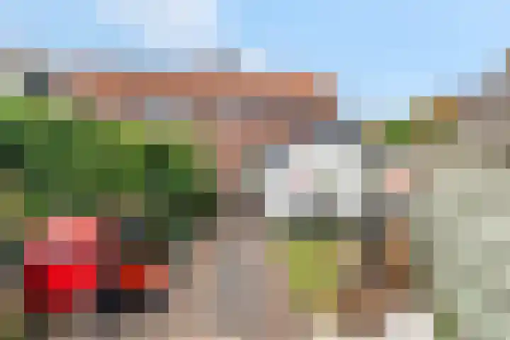 Vincent van Goghstraat 1 Ede thumbnail 39