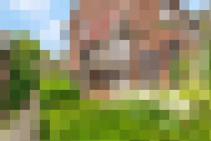 Vincent van Goghstraat 1 Ede thumbnail 40