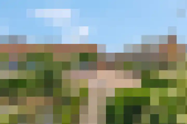 Vincent van Goghstraat 1 Ede thumbnail 42
