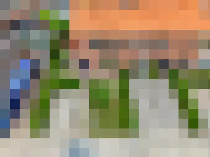 Vincent van Goghstraat 1 Ede thumbnail 47