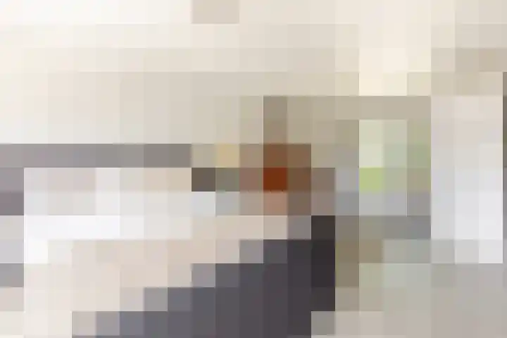 Vincent van Goghstraat 1 Helvoirt thumbnail 14