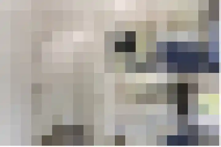 Vincent van Goghstraat 1 Helvoirt thumbnail 17
