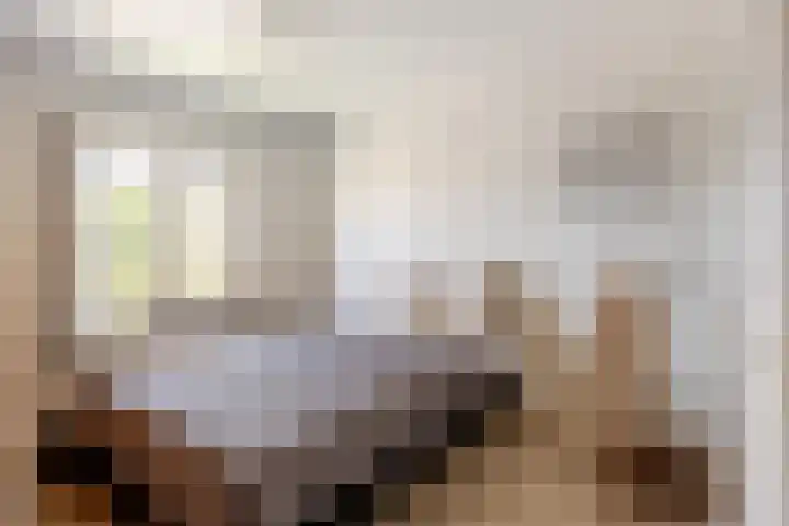 Vincent van Goghstraat 1 Helvoirt thumbnail 19