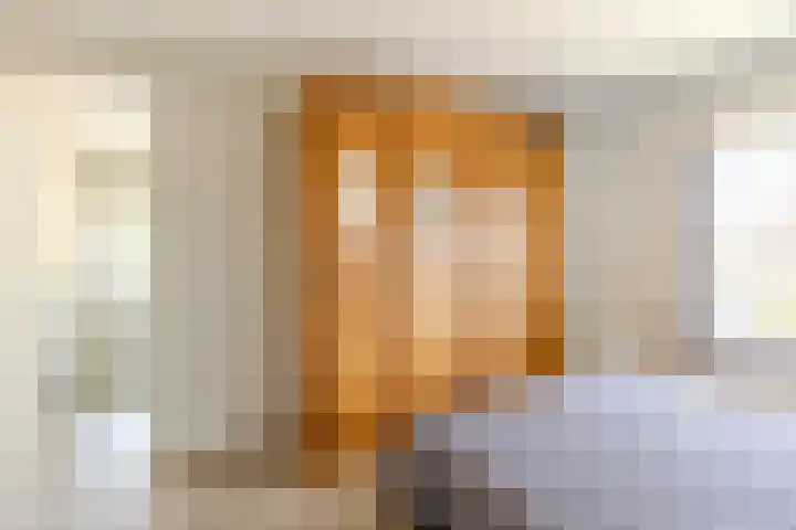 Vincent van Goghstraat 1 Helvoirt thumbnail 20