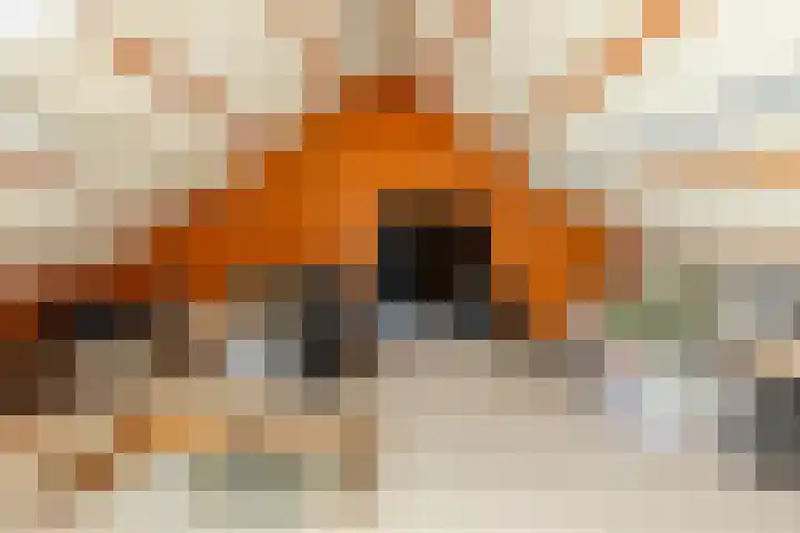 Vincent van Goghstraat 1 Helvoirt thumbnail 22