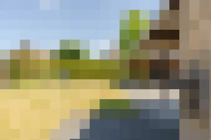 Vincent van Goghstraat 1 Helvoirt thumbnail 25