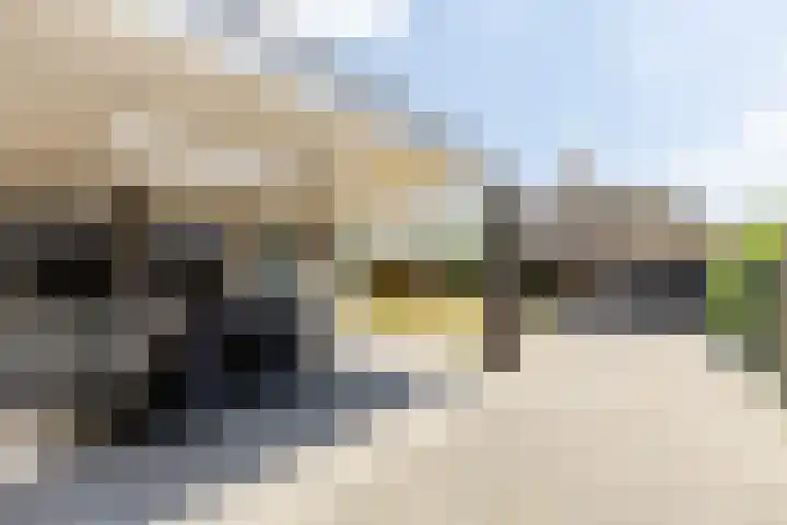 Vincent van Goghstraat 1 Helvoirt thumbnail 28