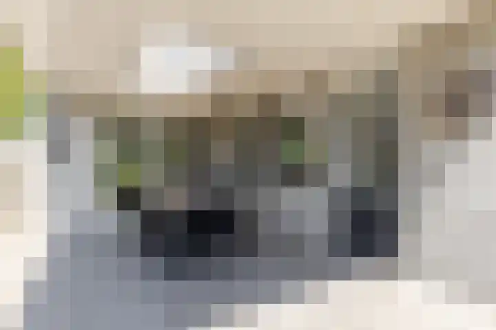 Vincent van Goghstraat 1 Helvoirt thumbnail 29