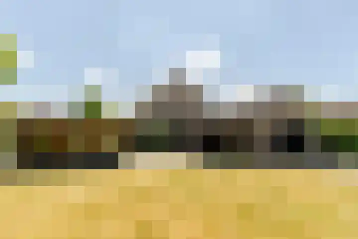 Vincent van Goghstraat 1 Helvoirt thumbnail 33