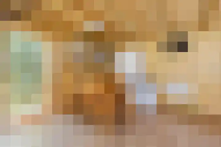 Vincent van Goghstraat 1 Helvoirt thumbnail 35