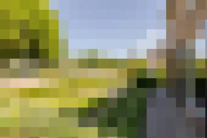 Vincent van Goghstraat 1 Helvoirt thumbnail 39