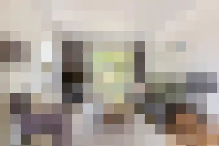 Vincent van Goghstraat 1 Helvoirt thumbnail 4