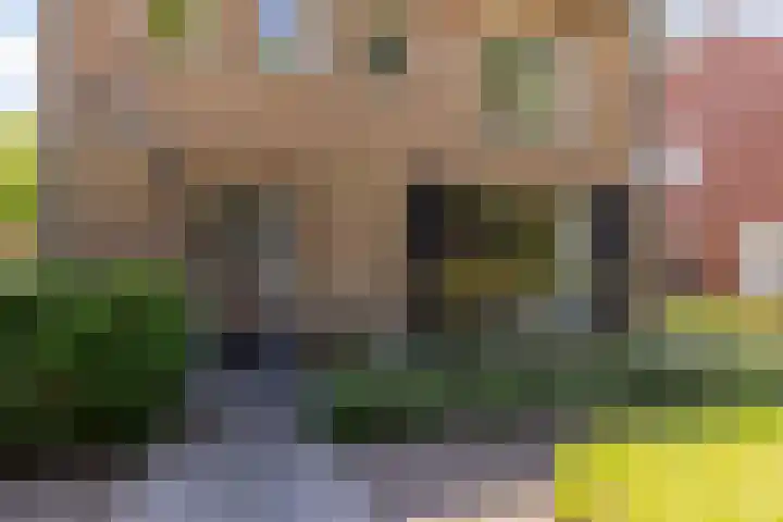 Vincent van Goghstraat 1 Helvoirt thumbnail 40