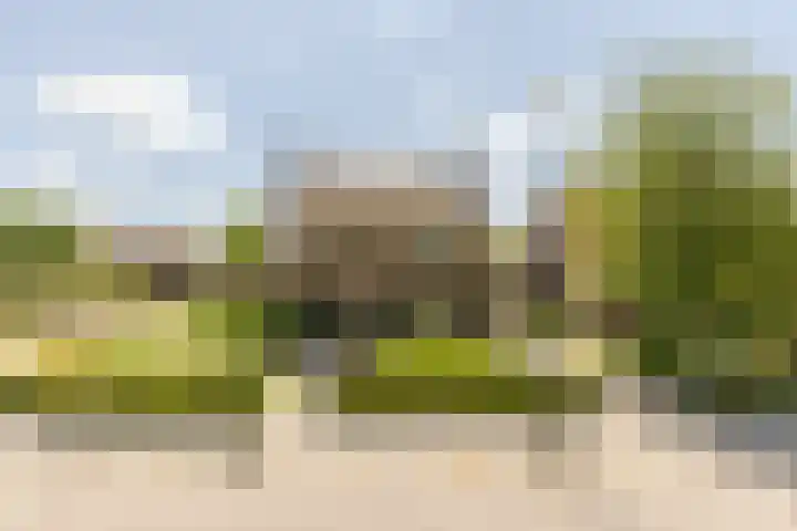Vincent van Goghstraat 1 Helvoirt thumbnail 41