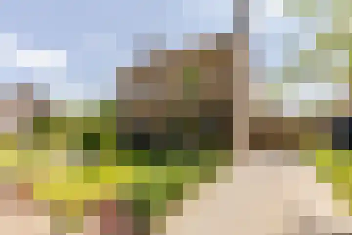 Vincent van Goghstraat 1 Helvoirt thumbnail 42