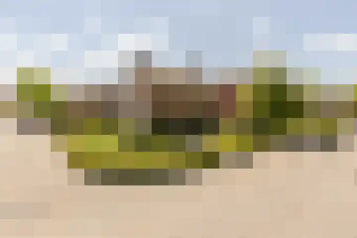 Vincent van Goghstraat 1 Helvoirt thumbnail 43