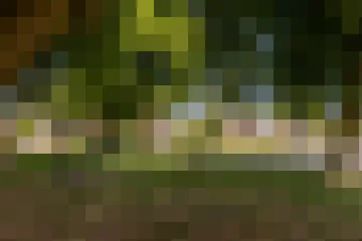 Vincent van Goghstraat 1 Helvoirt thumbnail 44