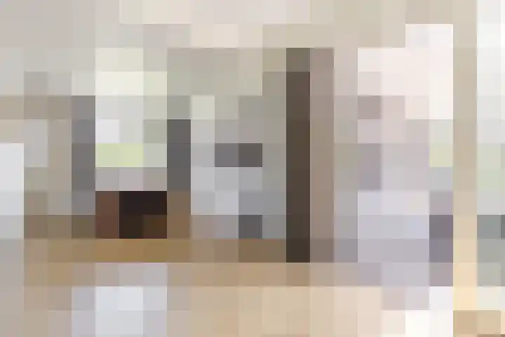 Vincent van Goghstraat 1 Helvoirt thumbnail 6