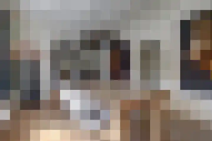 Vincent van Goghstraat 1 Raamsdonksveer thumbnail 10