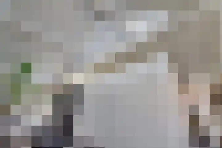 Vincent van Goghstraat 1 Raamsdonksveer thumbnail 11