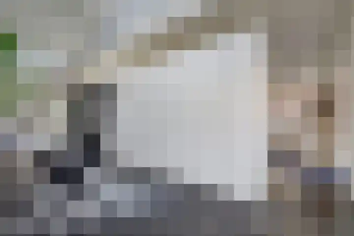 Vincent van Goghstraat 1 Raamsdonksveer thumbnail 12