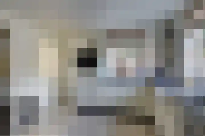 Vincent van Goghstraat 1 Raamsdonksveer thumbnail 15
