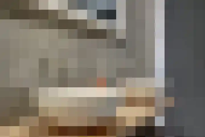 Vincent van Goghstraat 1 Raamsdonksveer thumbnail 21