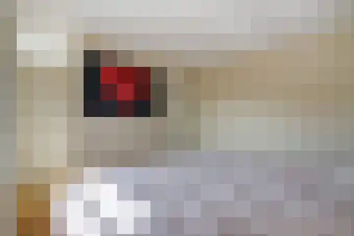 Vincent van Goghstraat 1 Raamsdonksveer thumbnail 22