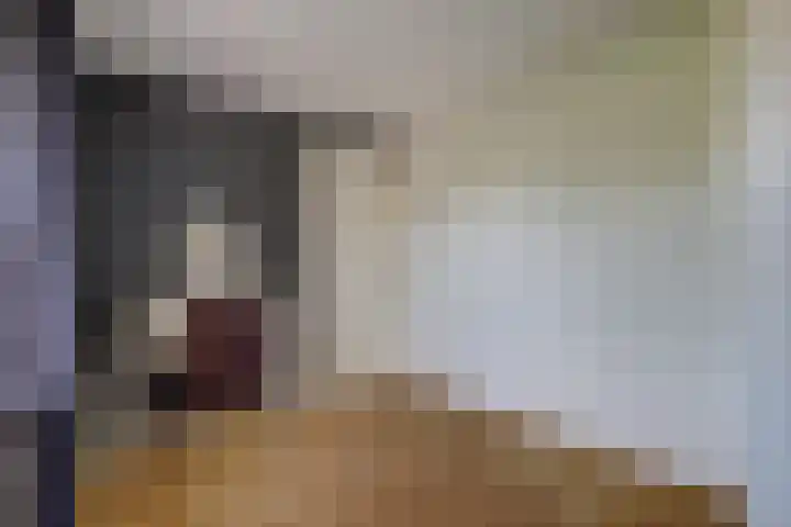 Vincent van Goghstraat 1 Raamsdonksveer thumbnail 26