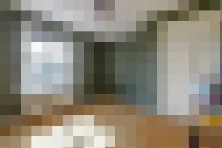 Vincent van Goghstraat 1 Raamsdonksveer thumbnail 27