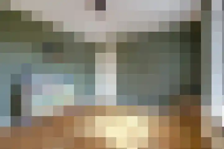 Vincent van Goghstraat 1 Raamsdonksveer thumbnail 28