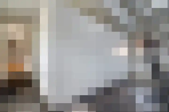 Vincent van Goghstraat 1 Raamsdonksveer thumbnail 29