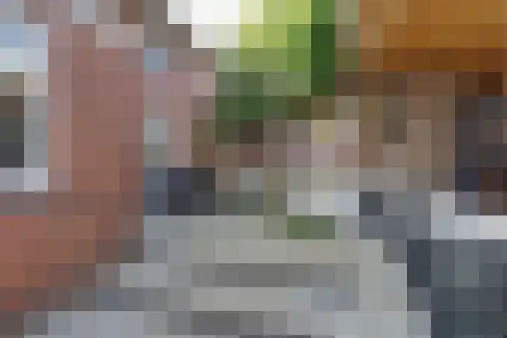 Vincent van Goghstraat 1 Raamsdonksveer thumbnail 32