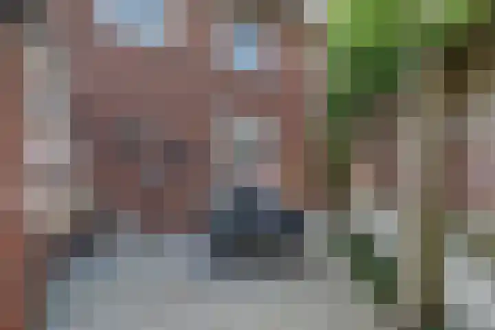 Vincent van Goghstraat 1 Raamsdonksveer thumbnail 33